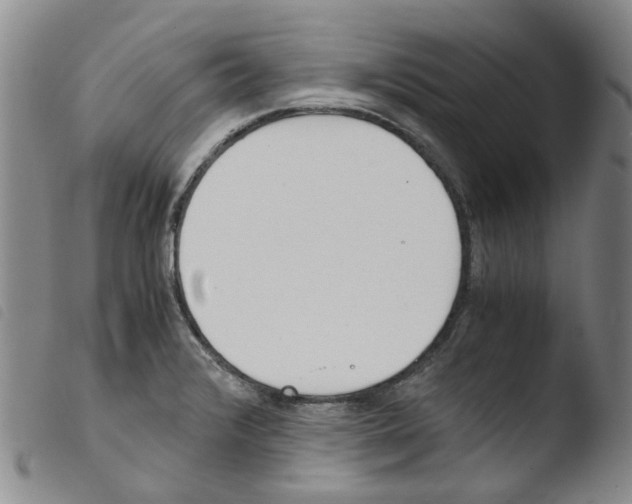 X0000103501376200810241115