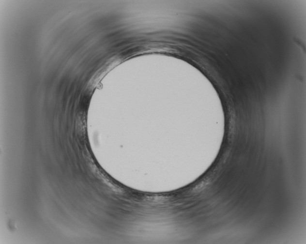 X0000103501377200810241115