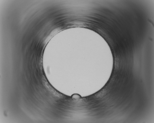 X0000103501378200810241115