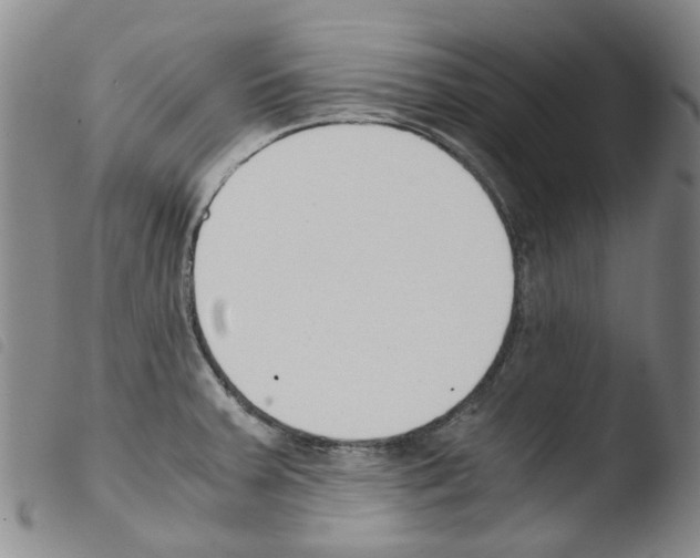 X0000103501379200810241115