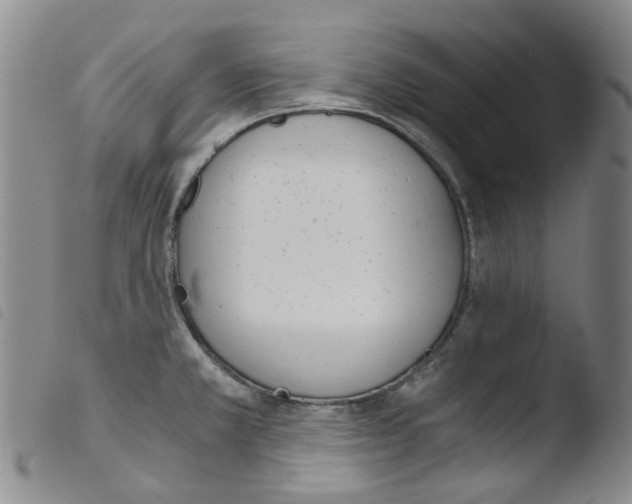 X0000103501381200810241115