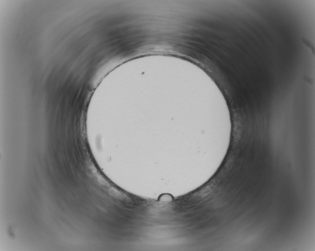 X0000103501382200810241115