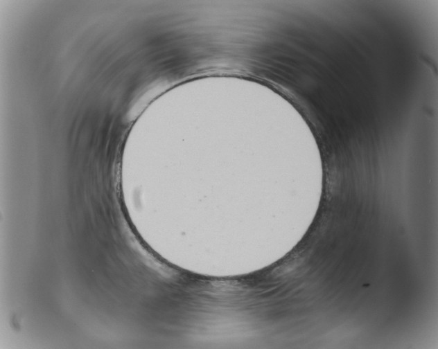 X0000103501383200810241115