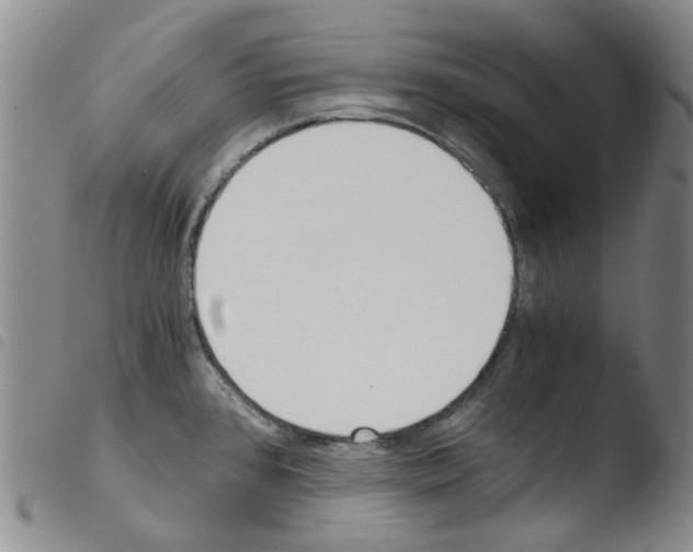 X0000103501384200810241115