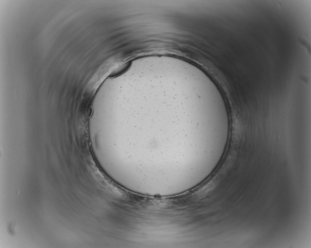 X0000103501385200810241115