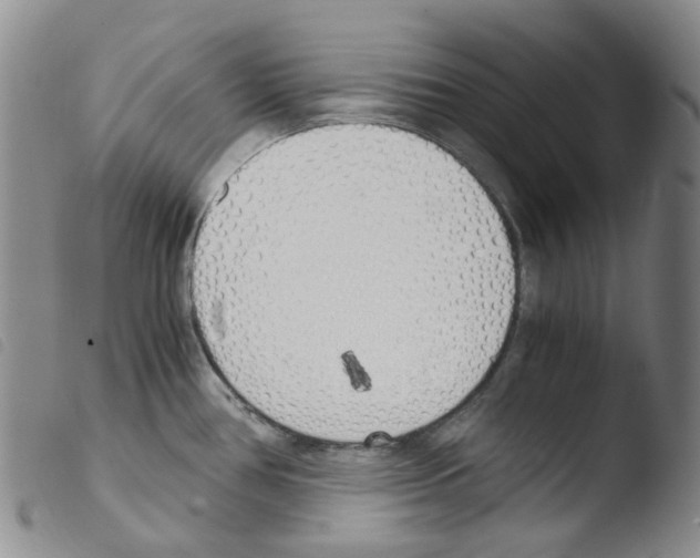 X0000103501386200810241115