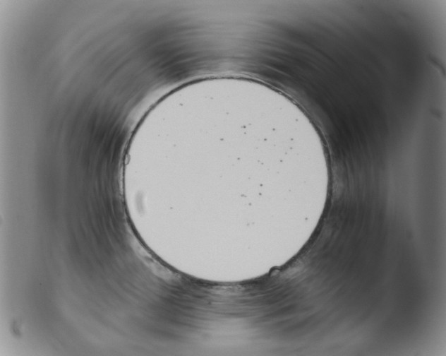 X0000103501388200810241115