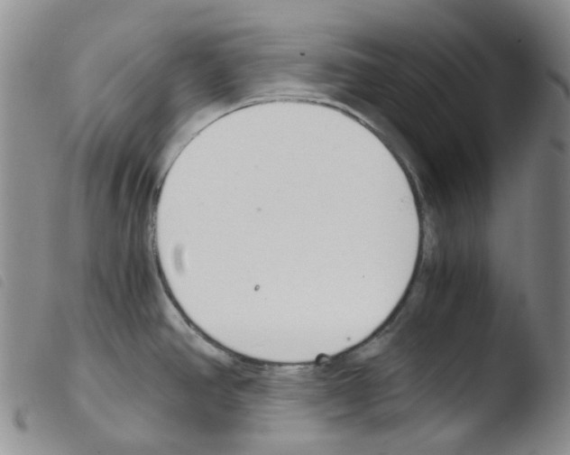 X0000103501390200810241114