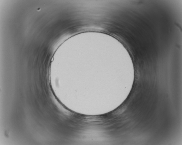 X0000103501391200810241114