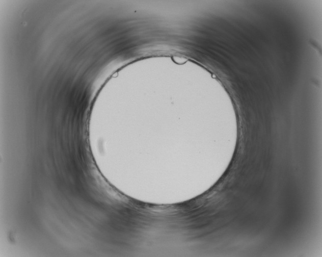 X0000103501392200810241114