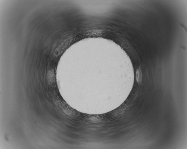 X0000103501395200810241113