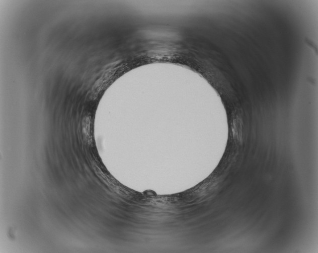 X0000103501396200810241113