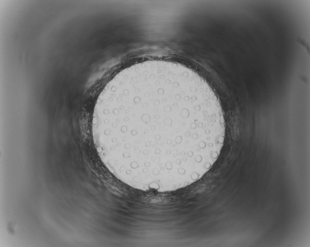 X0000103501399200810241114