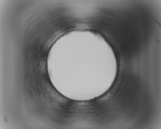 X0000103501401200810241114