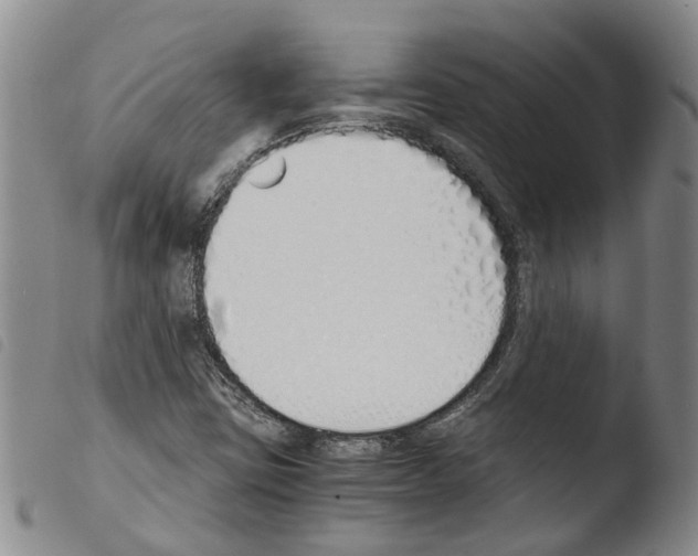 X0000103501403200810241114