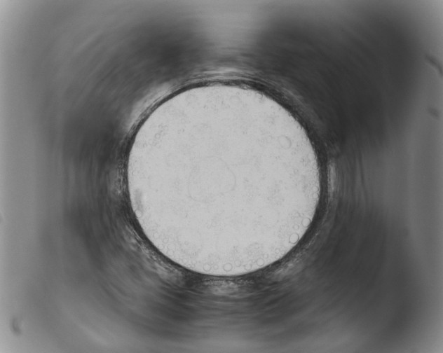 X0000103501405200810241114