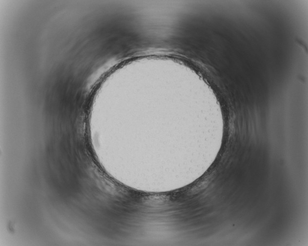 X0000103501406200810241114