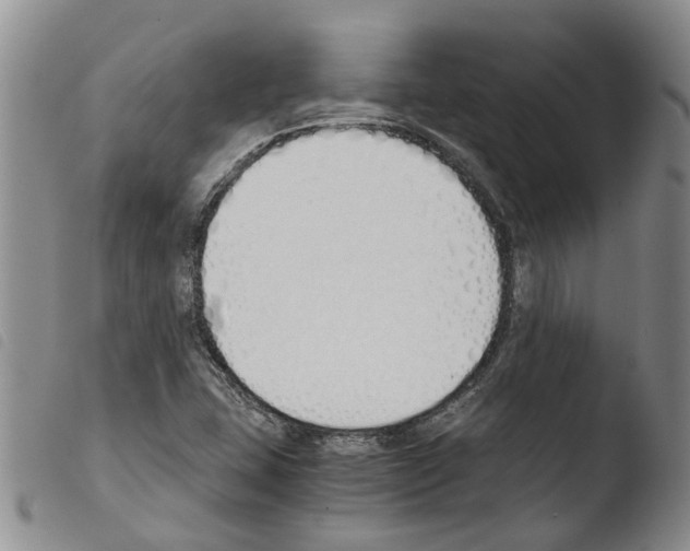 X0000103501407200810241114