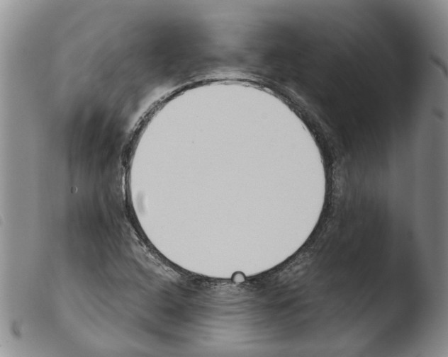 X0000103501408200810241114