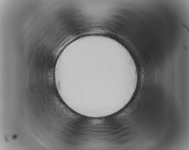 X0000103501409200810241114