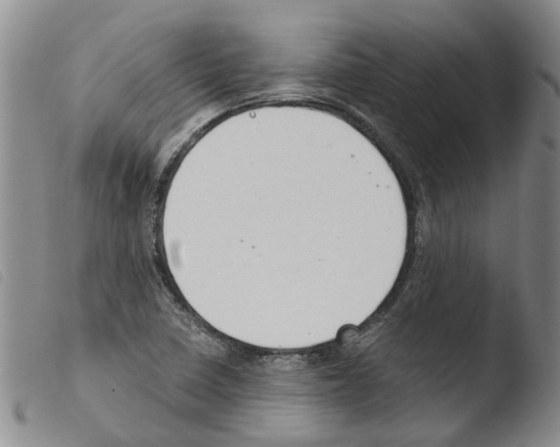 X0000103501410200810241114