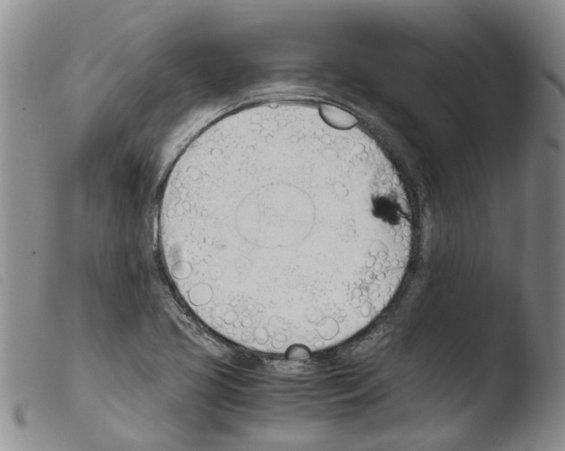 X0000103501413200810241114