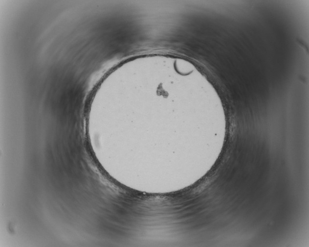 X0000103501414200810241114