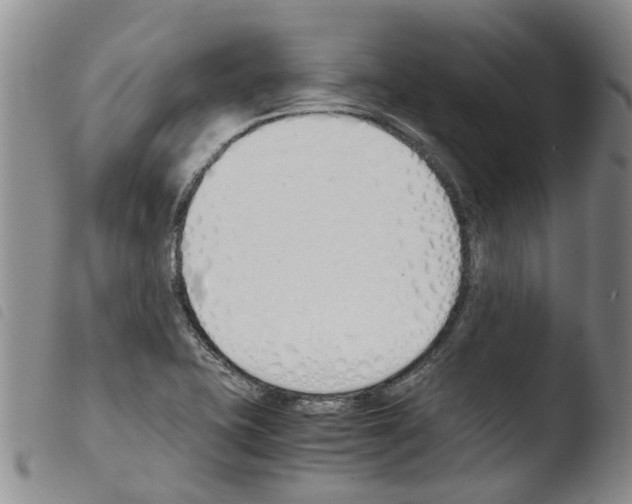 X0000103501415200810241114