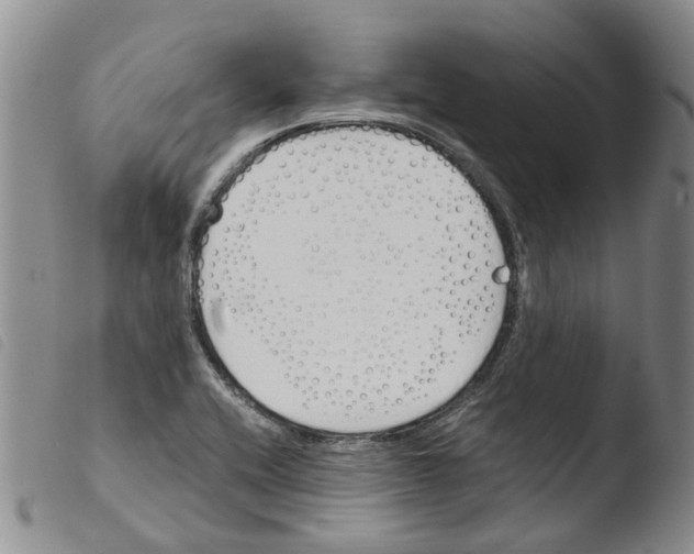 X0000103501416200810241114