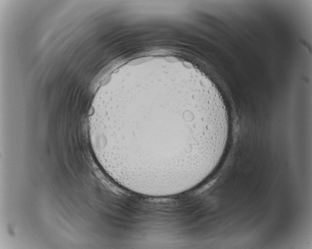 X0000103501417200810241114