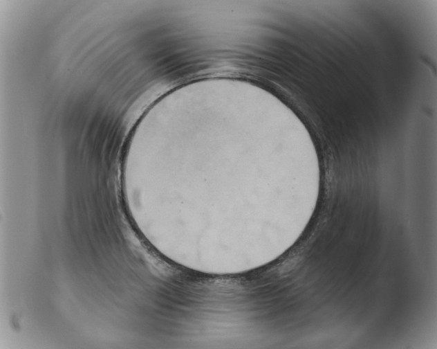 X0000103501418200810241114