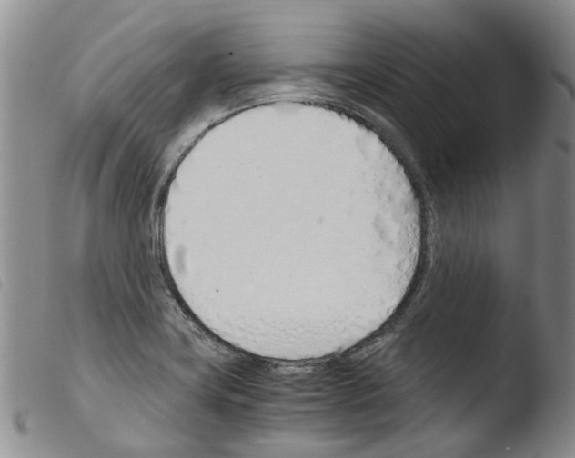 X0000103501419200810241114