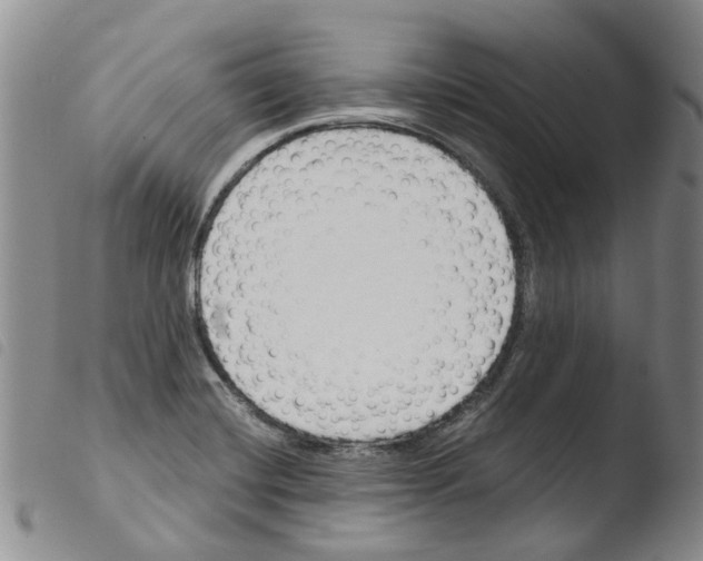 X0000103501420200810241114