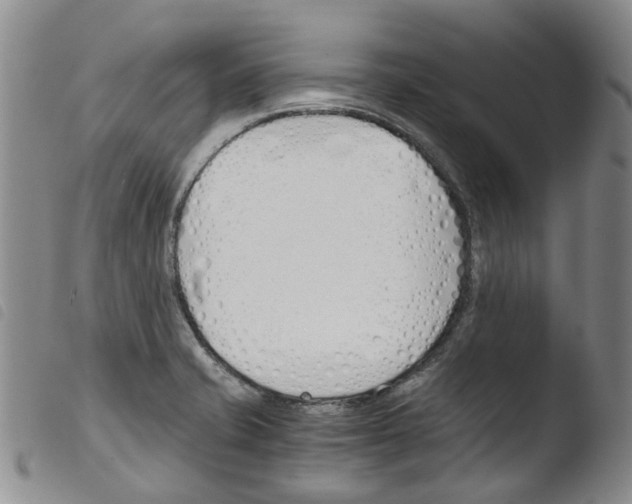 X0000103501421200810241114