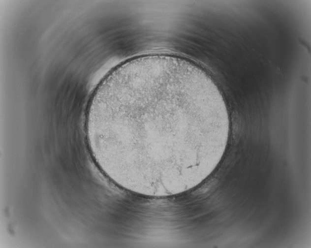 X0000103501422200810241114