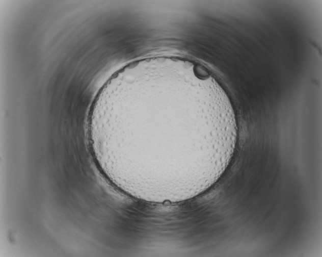 X0000103501423200810241114