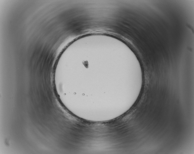 X0000103501424200810241114