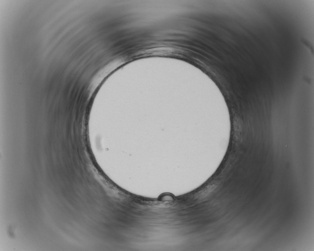 X0000103501426200810241114