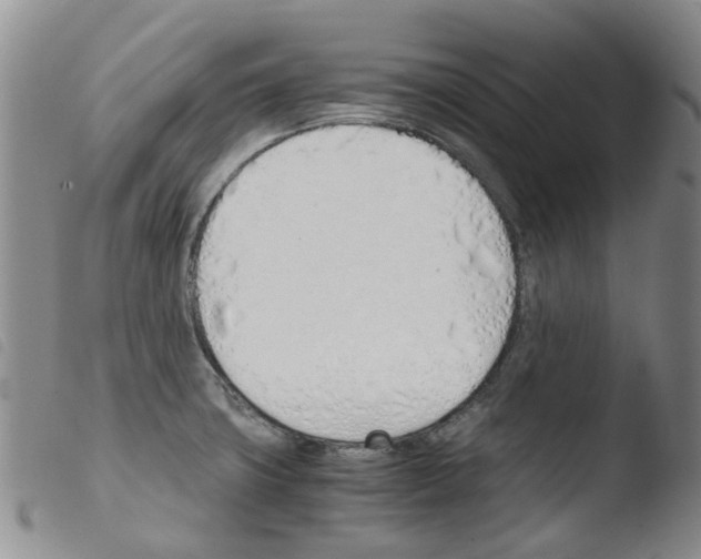 X0000103501427200810241114