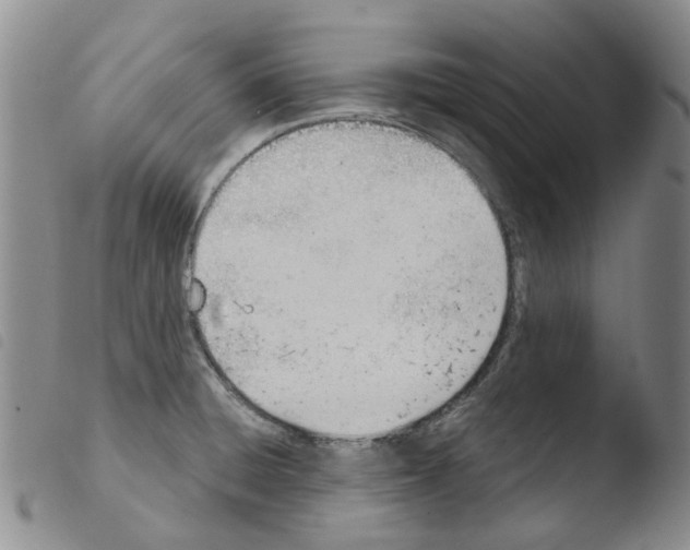 X0000103501428200810241114