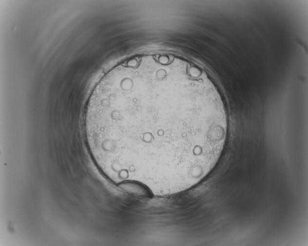 X0000103501429200810241114