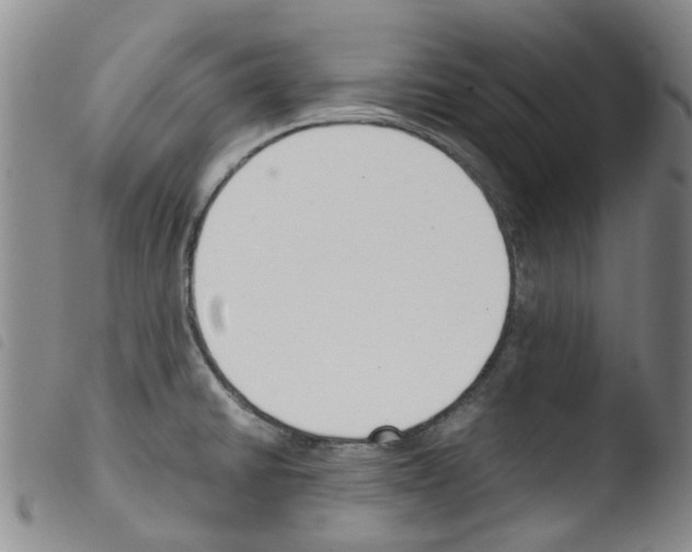 X0000103501430200810241114