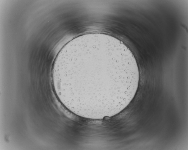 X0000103501431200810241114