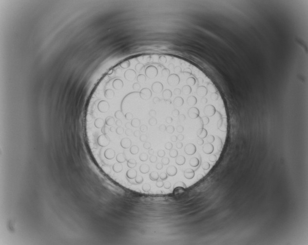 X0000103501432200810241114