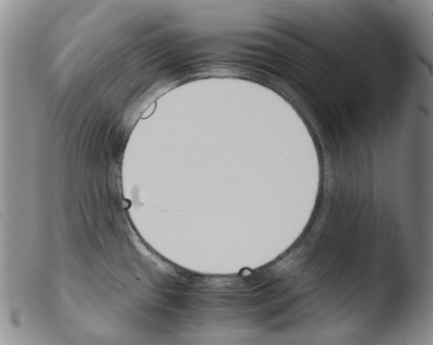 X0000103501433200810241114