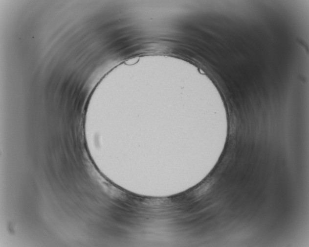 X0000103501434200810241114