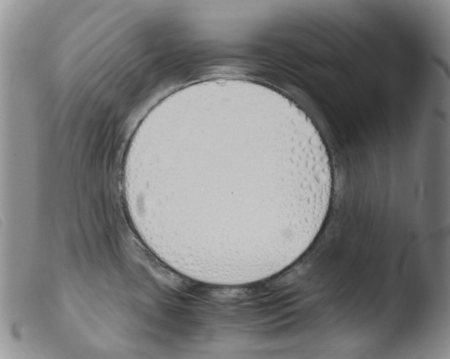 X0000103501435200810241114