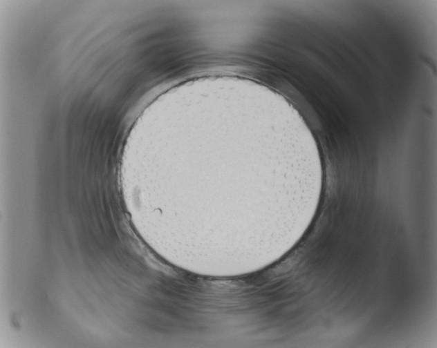 X0000103501436200810241114