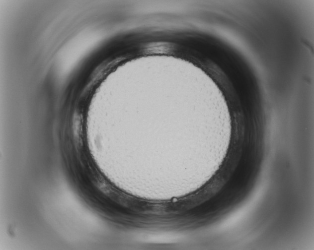 X0000103501438200810241114