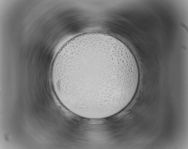 X0000103501440200810241114